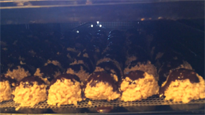 Melissa Chappell's Chocolate Covered Macaroons